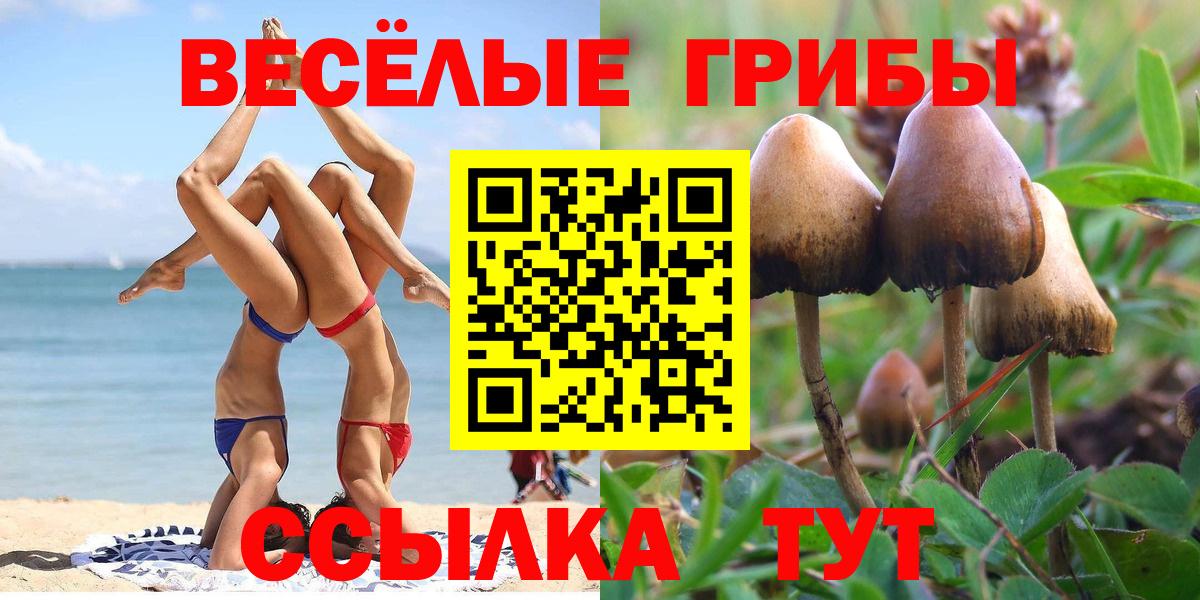 Псилоцибиновые грибы прущие грибы  Вход с VPN  Псилоцибиновые грибы GOLDEN TEACHER  Фролово 